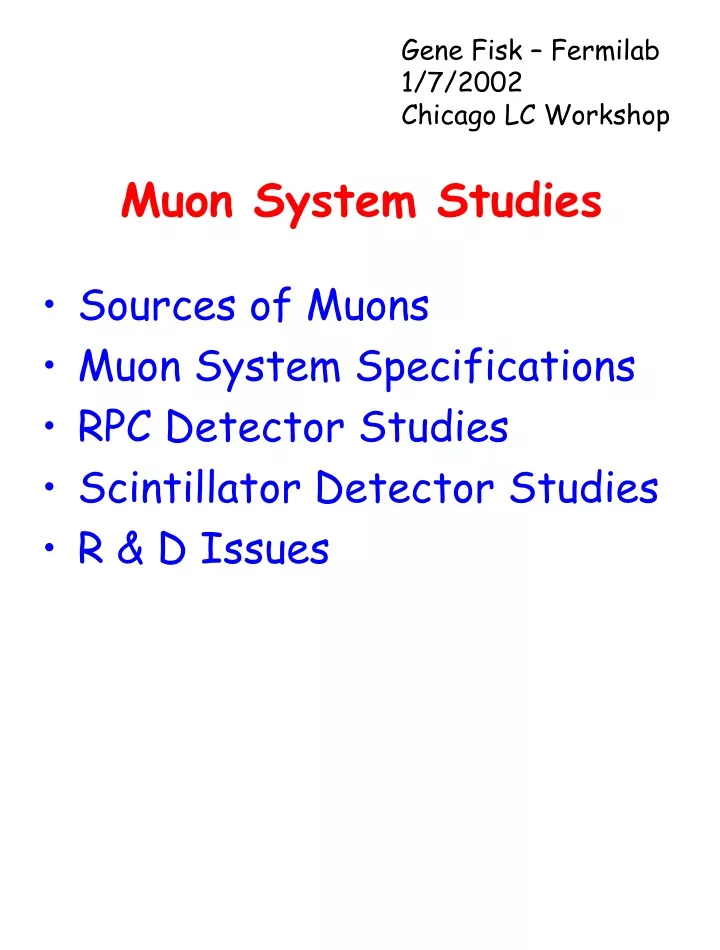 muon system studies