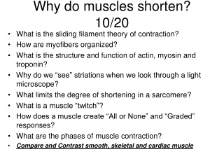 Why do muscles shorten?  10/20
