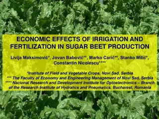 ECONOMIC EFFECTS OF IRRIGATION AND  FERTILIZATION IN SUGAR BEET PRODUCTION