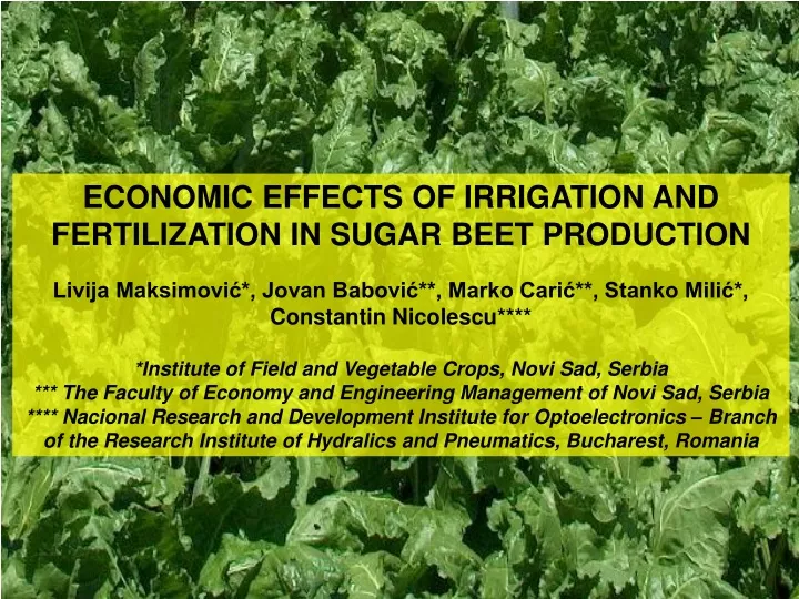 economic effects of irrigation and fertilization