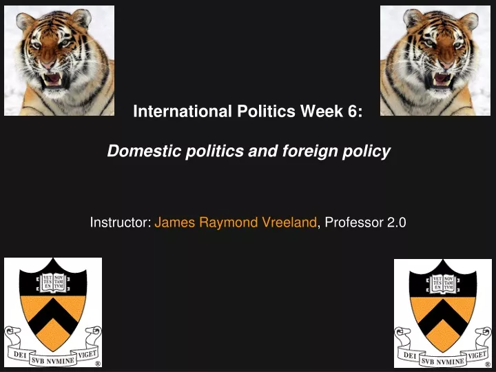 international politics week 6 domestic politics and foreign policy