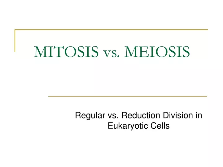 mitosis vs meiosis