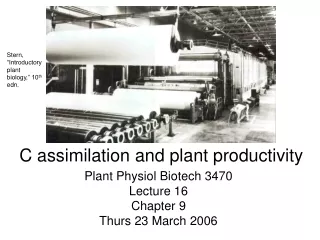 C assimilation and plant productivity