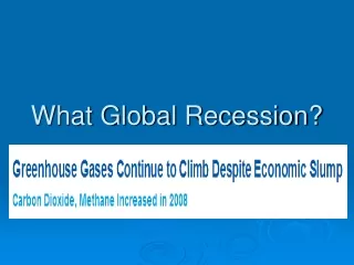 What Global Recession?