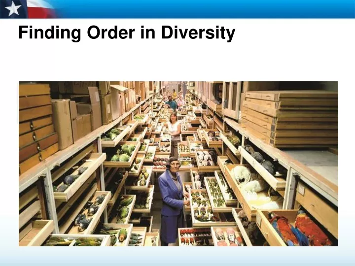 finding order in diversity