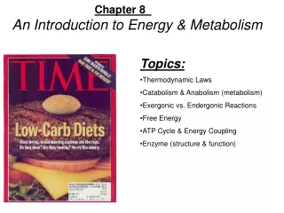 Chapter 8	 An Introduction to Energy &amp; Metabolism