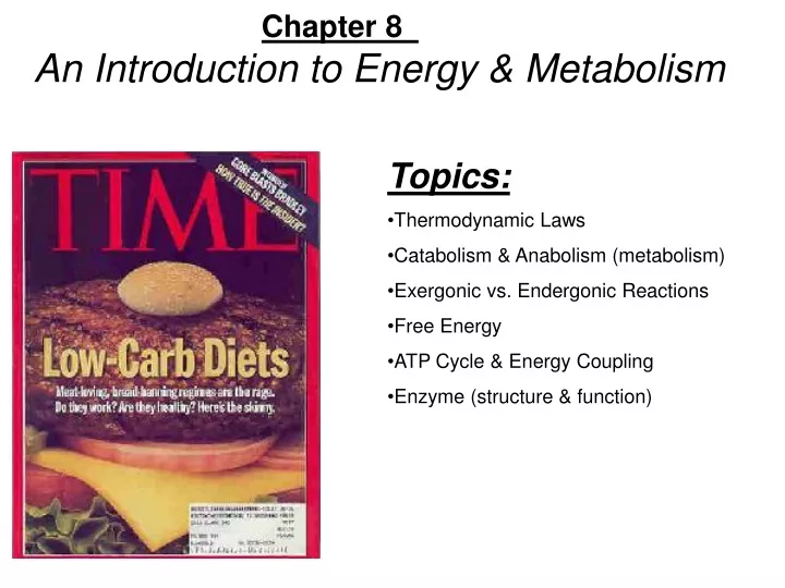 chapter 8 an introduction to energy metabolism
