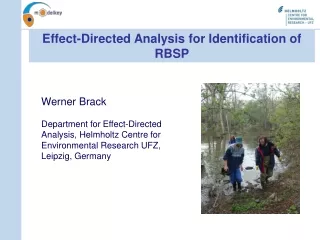 Effect-Directed Analysis for Identification of RBSP