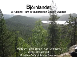 B jörnlandet  A National Park in Västerbotten County Sweden