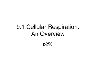 9.1 Cellular Respiration:  An Overview