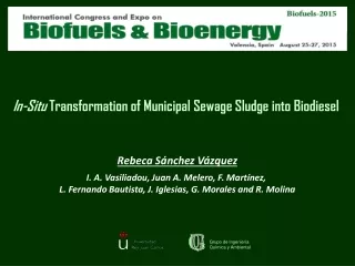 In-Situ  Transformation of Municipal Sewage Sludge into Biodiesel