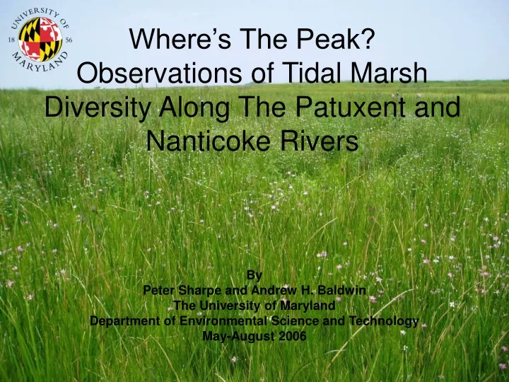 where s the peak observations of tidal marsh diversity along the patuxent and nanticoke rivers