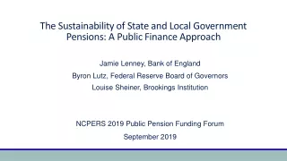 The Sustainability of State and Local Government Pensions: A Public Finance Approach