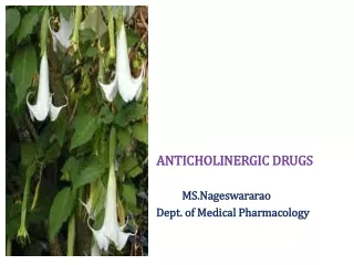 ANTICHOLINERGIC DRUGS                                     MS.Nageswararao