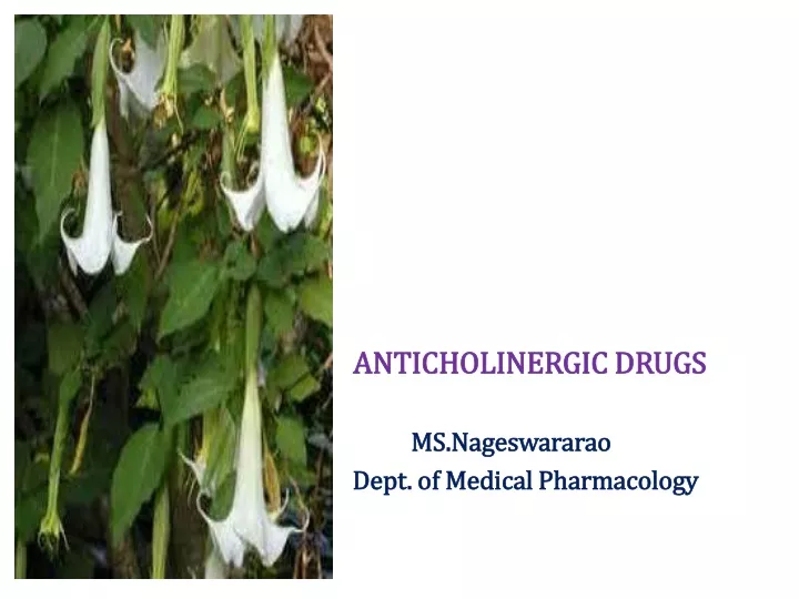 anticholinergic drugs ms nageswararao dept