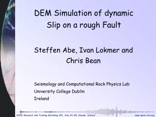 DEM Simulation of dynamic Slip on a rough Fault