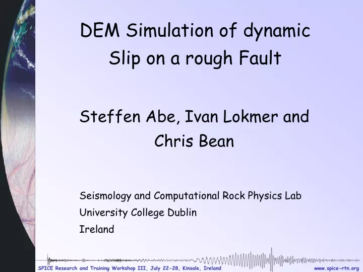 dem simulation of dynamic slip on a rough fault