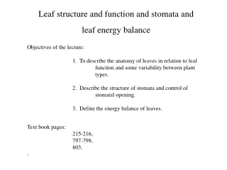 Leaf structure and function and stomata and leaf energy balance