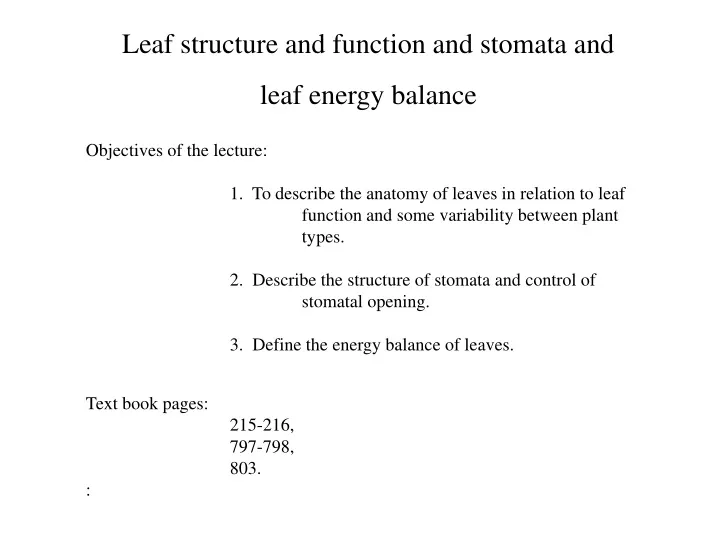 leaf structure and function and stomata and leaf