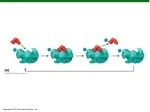 Enzyme Inhibition and Anaerobic Respiration in Biological Processes - slide 1