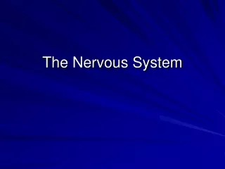 The Nervous System