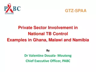 GTZ-SPAA Private Sector Involvement in  National  TB Control