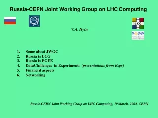 Russia-CERN Joint Working Group on LHC Computing