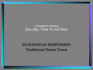 Consultative Meeting Eco-city: Time To Act Now