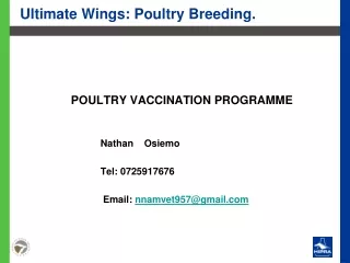 Ultimate Wings: Poultry Breeding.