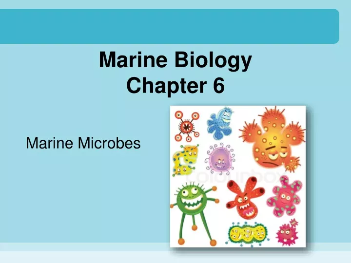 marine biology chapter 6