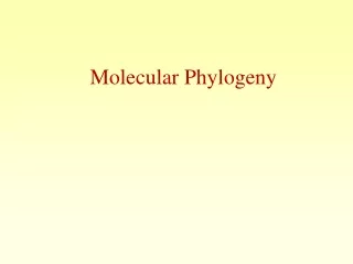 Molecular Phylogeny