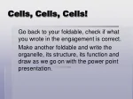 Cell Organelles: Structure, Function, and Importance - slide 1
