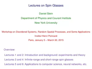 Lectures on Spin Glasses