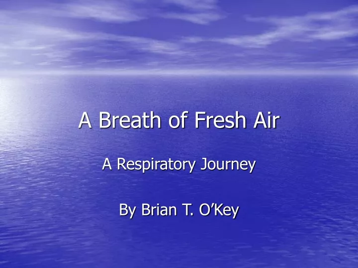 a breath of fresh air