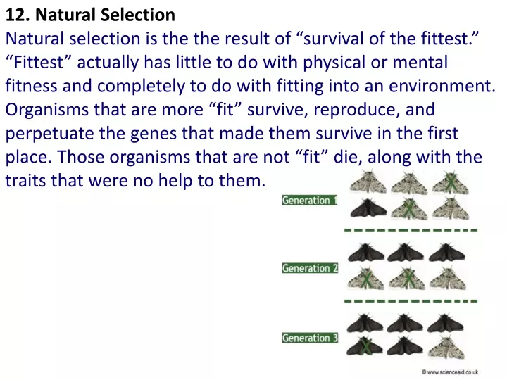 12 natural selection natural selection