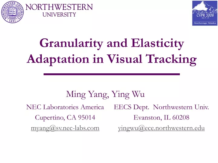 granularity and elasticity adaptation in visual tracking