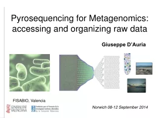 Pyrosequencing for Metagenomics:  accessing and organizing raw data
