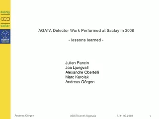 AGATA Detector Work Performed at Saclay in 2008 - lessons learned -