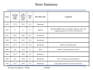 Store Summary