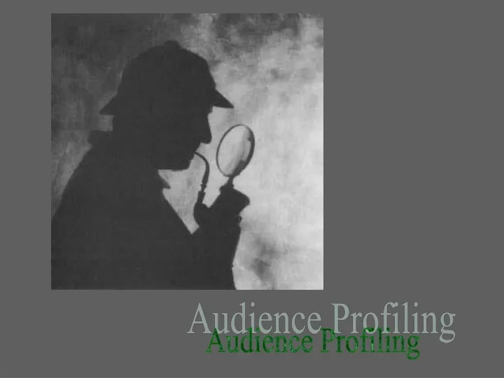 audience profiling