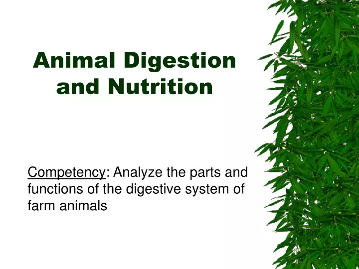 animal digestion and nutrition