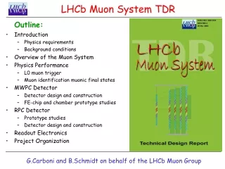 LHCb Muon System TDR