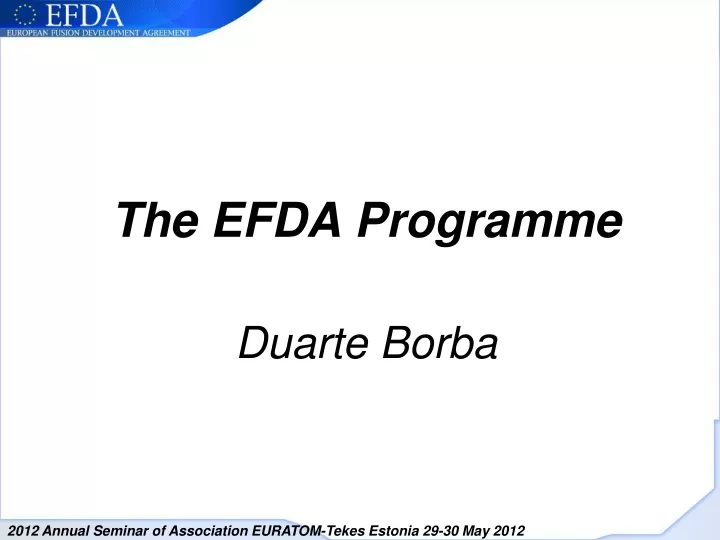 the efda programme duarte borba
