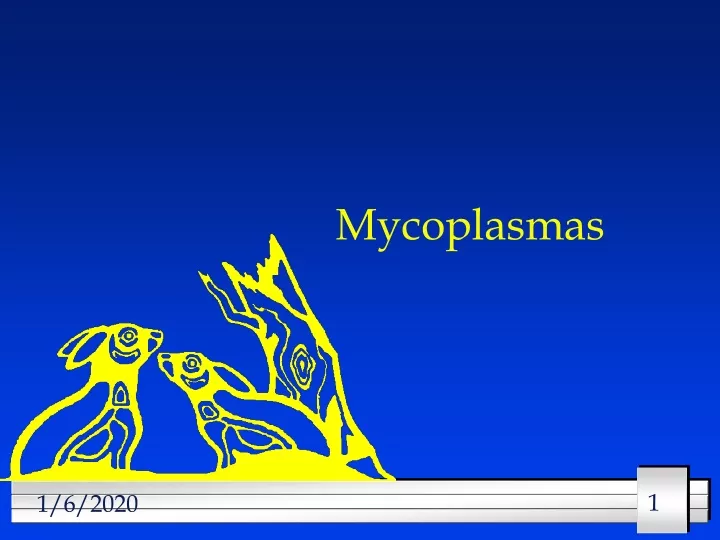 mycoplasmas