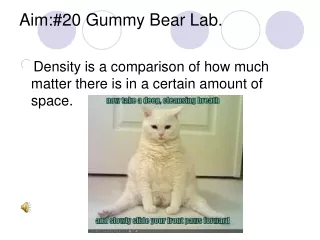 Aim:#20 Gummy Bear Lab.