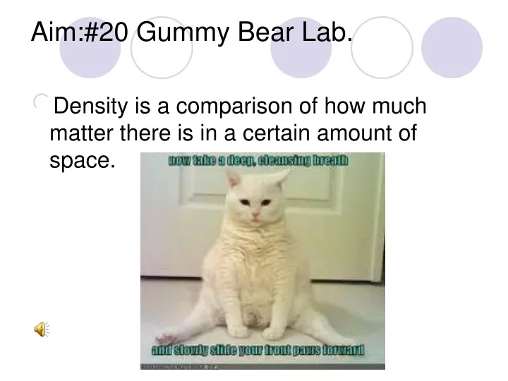 aim 20 gummy bear lab