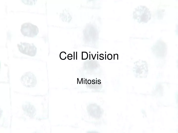 cell division