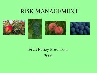 RISK MANAGEMENT