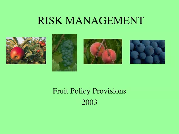 risk management