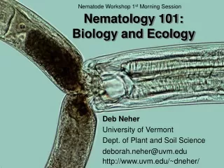 Nematology 101:  Biology and Ecology